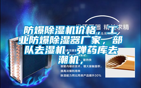 防爆除濕機價格，工業防爆除濕器廠家，部隊去濕機，彈藥庫去潮機，