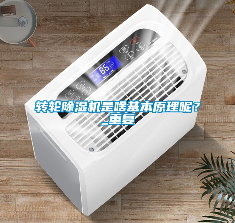轉(zhuǎn)輪除濕機是啥基本原理呢？_重復(fù)