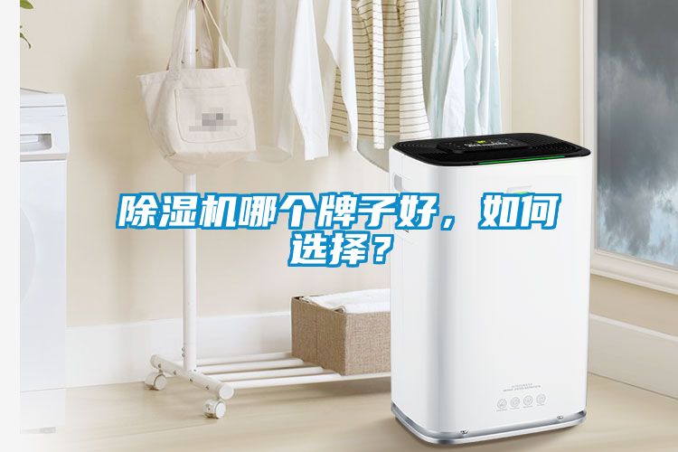 除濕機哪個牌子好，如何選擇？