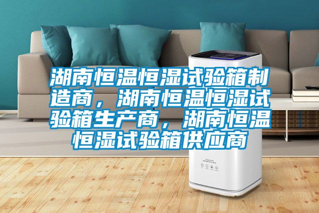 湖南恒溫恒濕試驗箱制造商，湖南恒溫恒濕試驗箱生產商，湖南恒溫恒濕試驗箱供應商