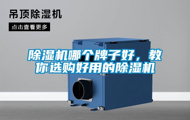 除濕機哪個牌子好，教你選購好用的除濕機