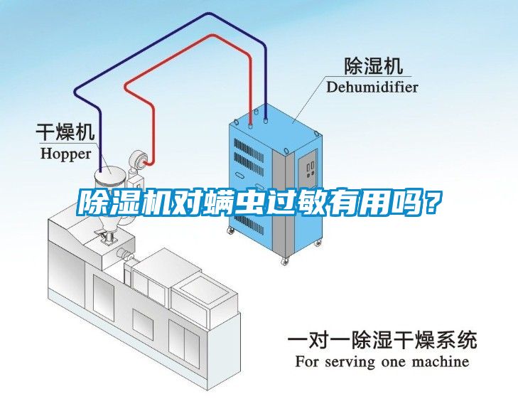 除濕機對螨蟲過敏有用嗎？
