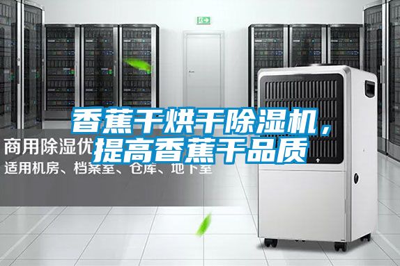 香蕉干烘干除濕機，提高香蕉干品質