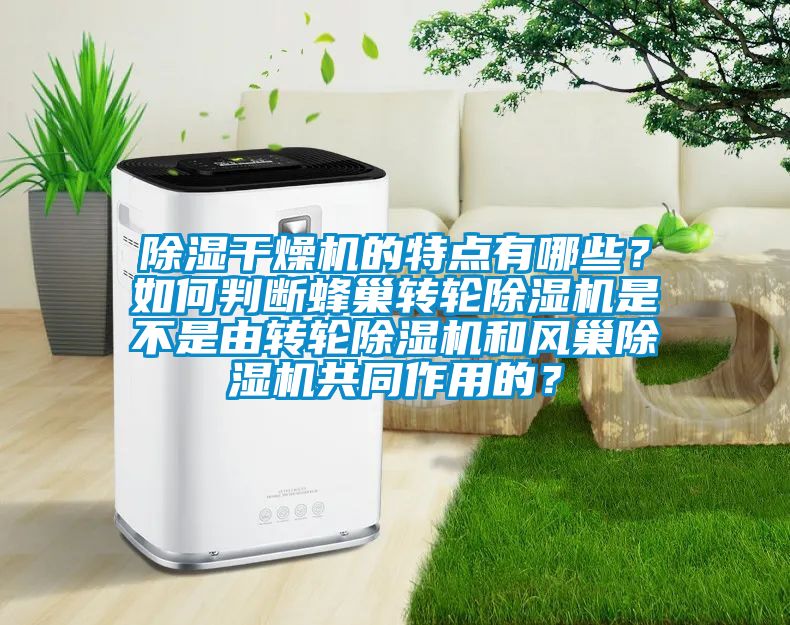 除濕干燥機的特點有哪些？如何判斷蜂巢轉輪除濕機是不是由轉輪除濕機和風巢除濕機共同作用的？