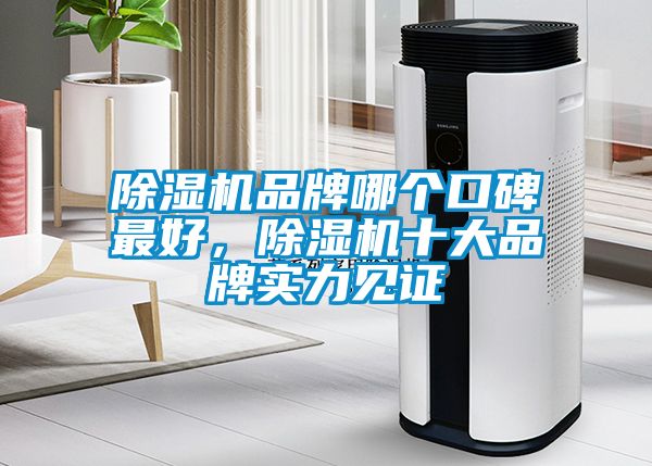 除濕機品牌哪個口碑最好，除濕機十大品牌實力見證