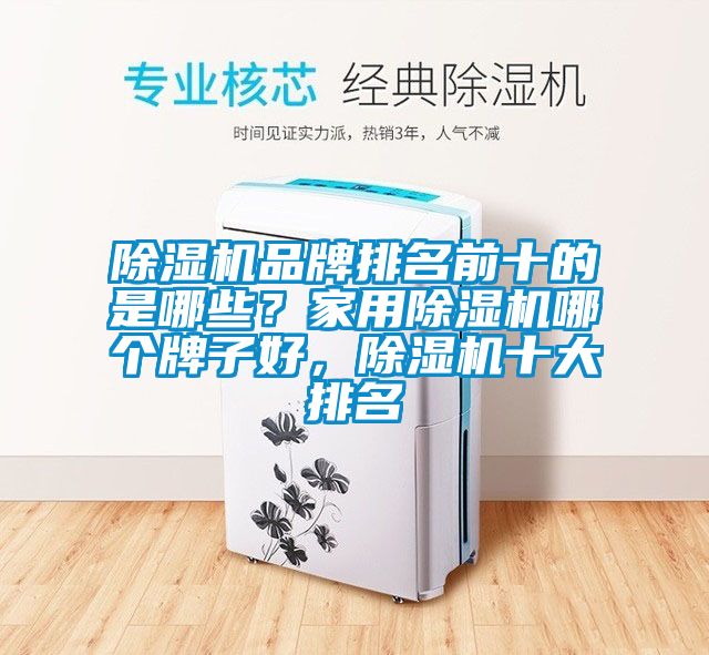 除濕機品牌排名前十的是哪些？家用除濕機哪個牌子好，除濕機十大排名