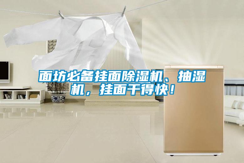 面坊必備掛面除濕機(jī)、抽濕機(jī)，掛面干得快！