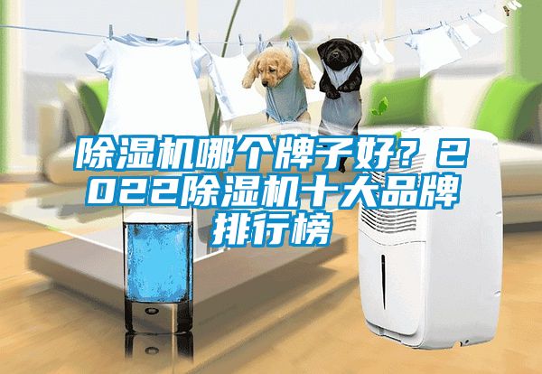 除濕機(jī)哪個牌子好？2022除濕機(jī)十大品牌排行榜