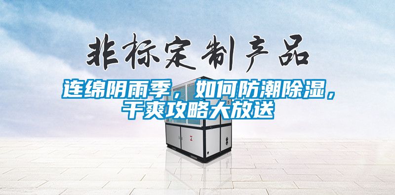 連綿陰雨季，如何防潮除濕，干爽攻略大放送