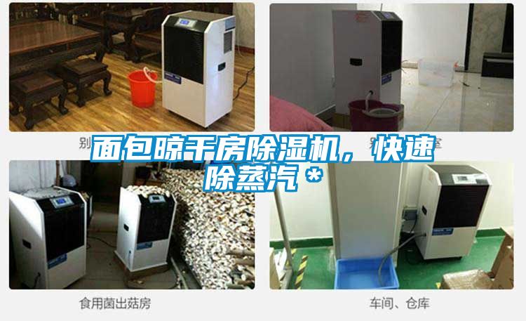 面包晾干房除濕機(jī)，快速除蒸汽＊