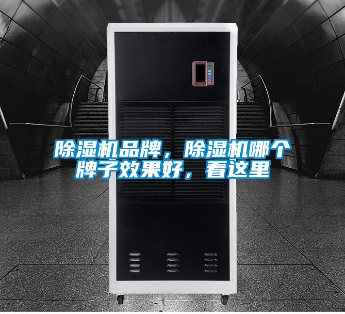 除濕機(jī)品牌，除濕機(jī)哪個(gè)牌子效果好，看這里