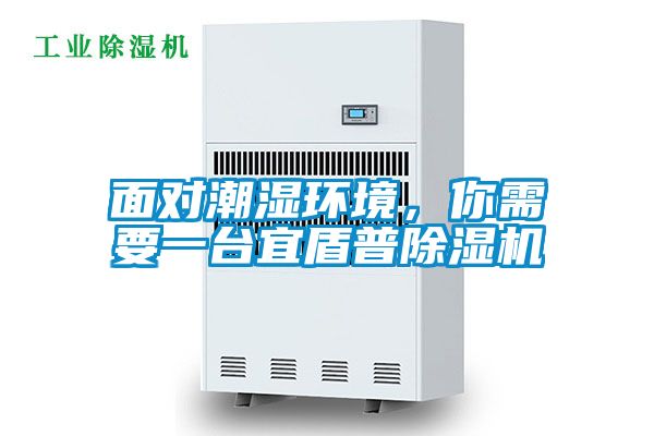 面對潮濕環(huán)境，你需要一臺宜盾普除濕機(jī)