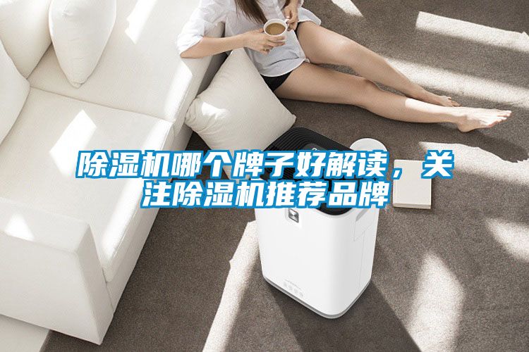 除濕機哪個牌子好解讀，關注除濕機推薦品牌