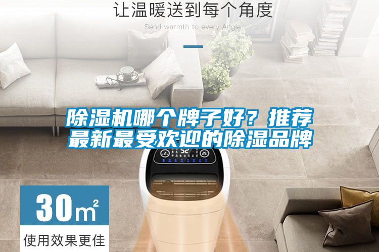 除濕機哪個牌子好？推薦最新最受歡迎的除濕品牌
