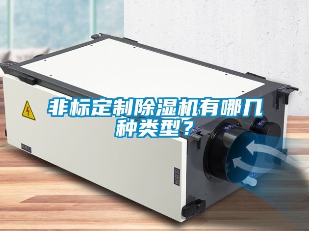 非標(biāo)定制除濕機(jī)有哪幾種類型？