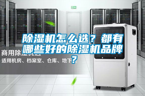 除濕機怎么選？都有哪些好的除濕機品牌？