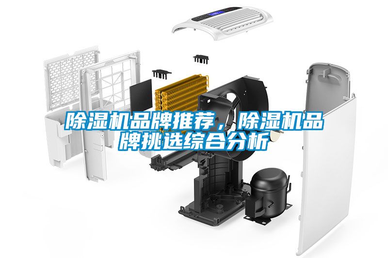 除濕機品牌推薦，除濕機品牌挑選綜合分析