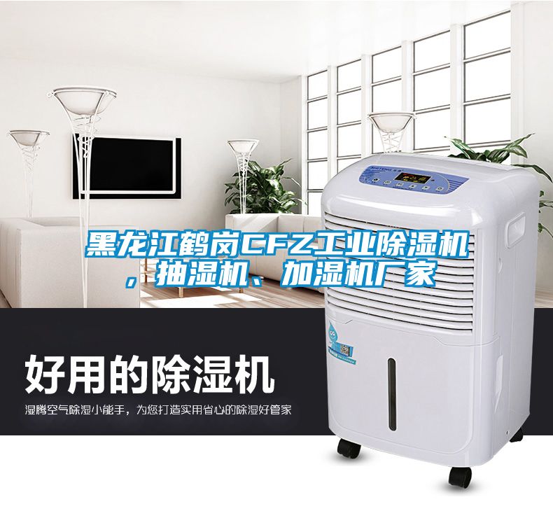 黑龍江鶴崗CFZ工業(yè)除濕機，抽濕機、加濕機廠家