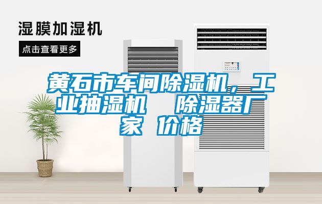 黃石市車間除濕機，工業(yè)抽濕機  除濕器廠家 價格