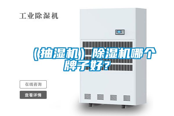 （抽濕機）除濕機哪個牌子好？
