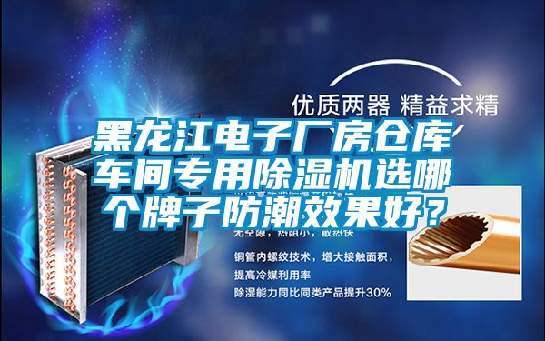 黑龍江電子廠房倉庫車間專用除濕機選哪個牌子防潮效果好？