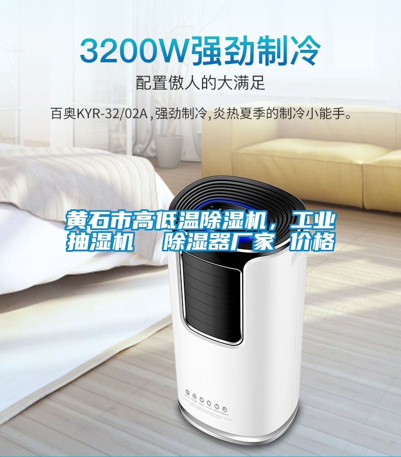 黃石市高低溫除濕機，工業(yè)抽濕機  除濕器廠家 價格